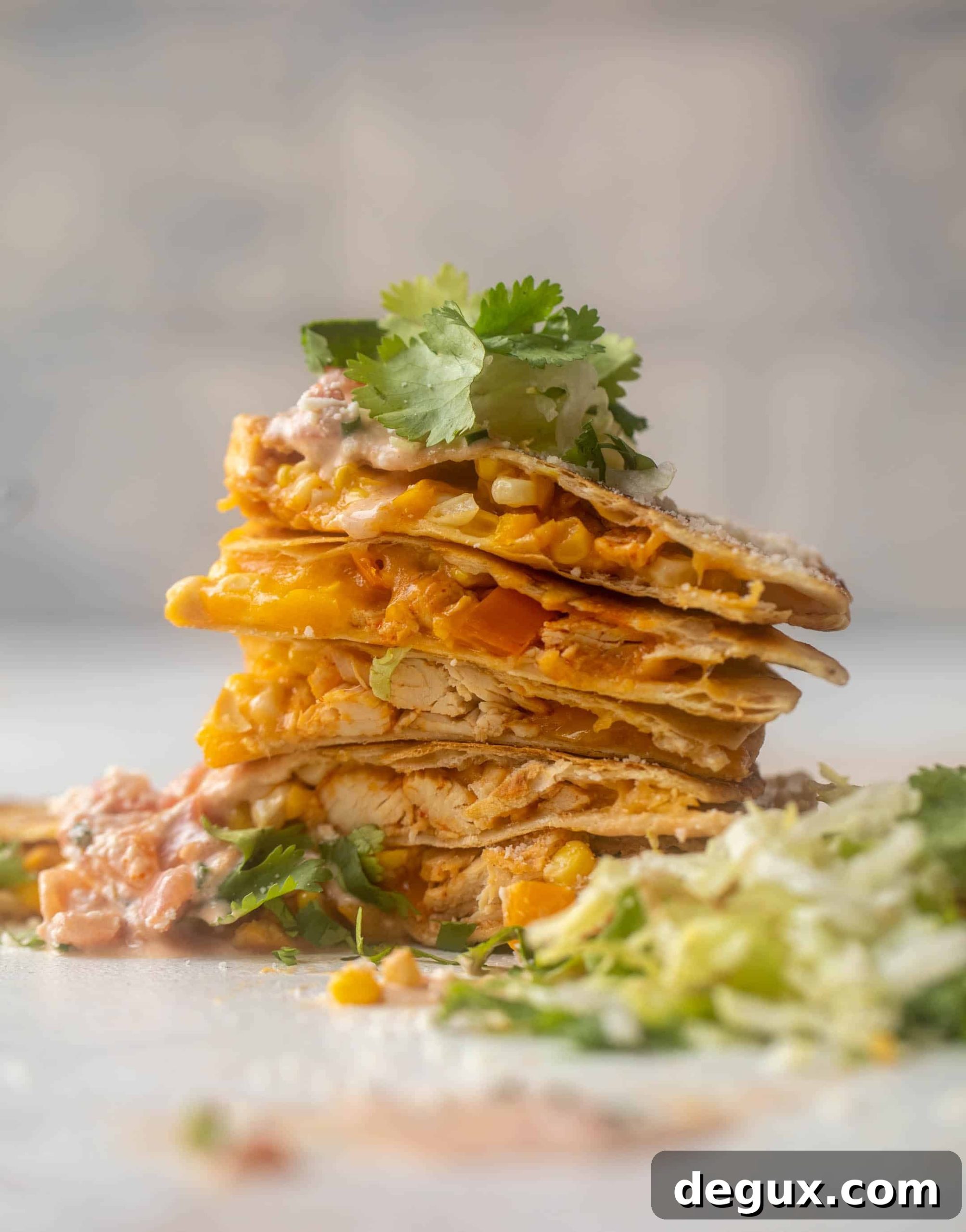 Honey Chipotle Chicken Quesadillas Recipe 2 honey chipotle chicken quesadillas