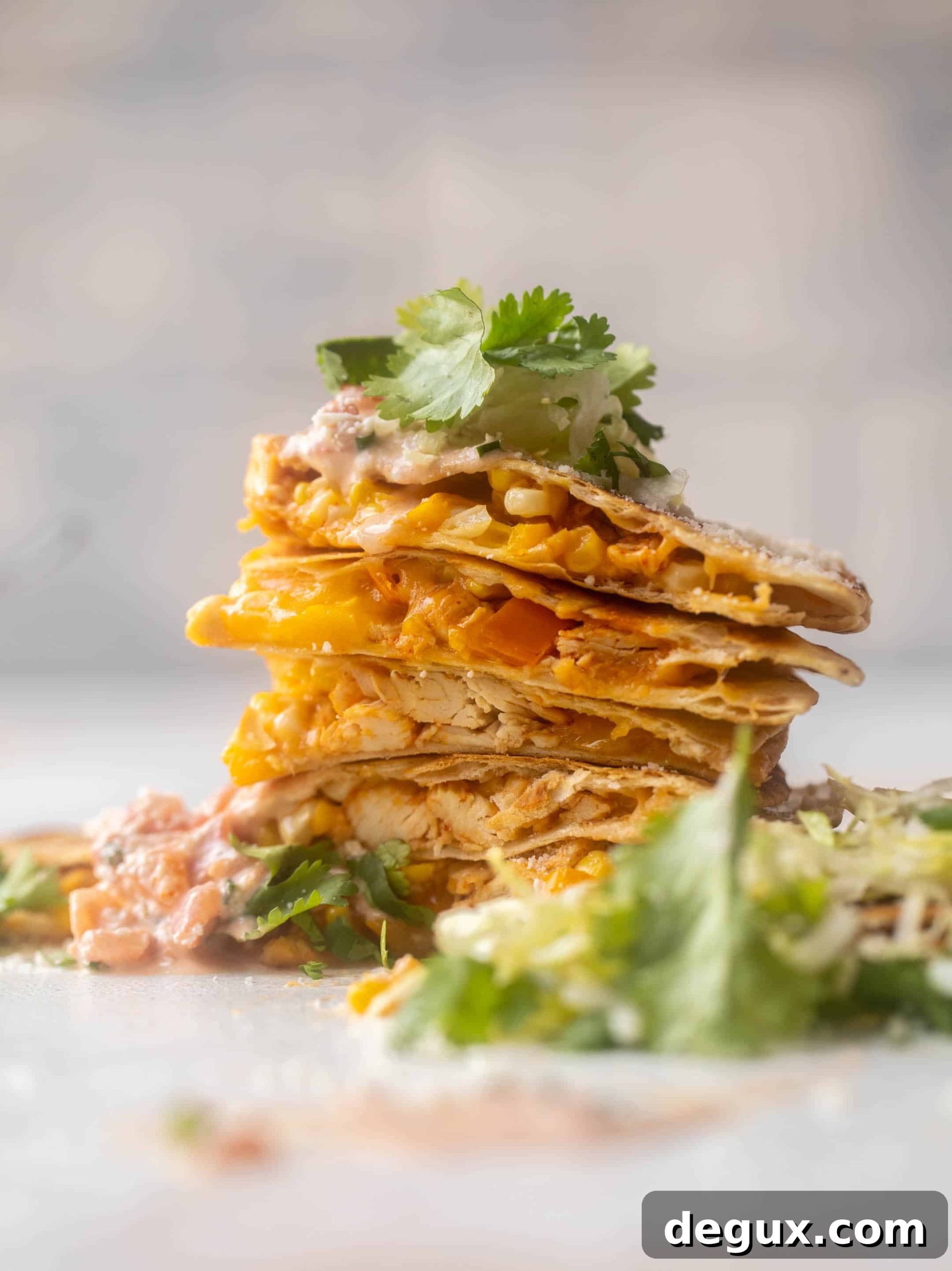 Honey Chipotle Chicken Quesadillas Recipe for Flavorful Weeknight Meals 6 honey chipotle chicken quesadillas