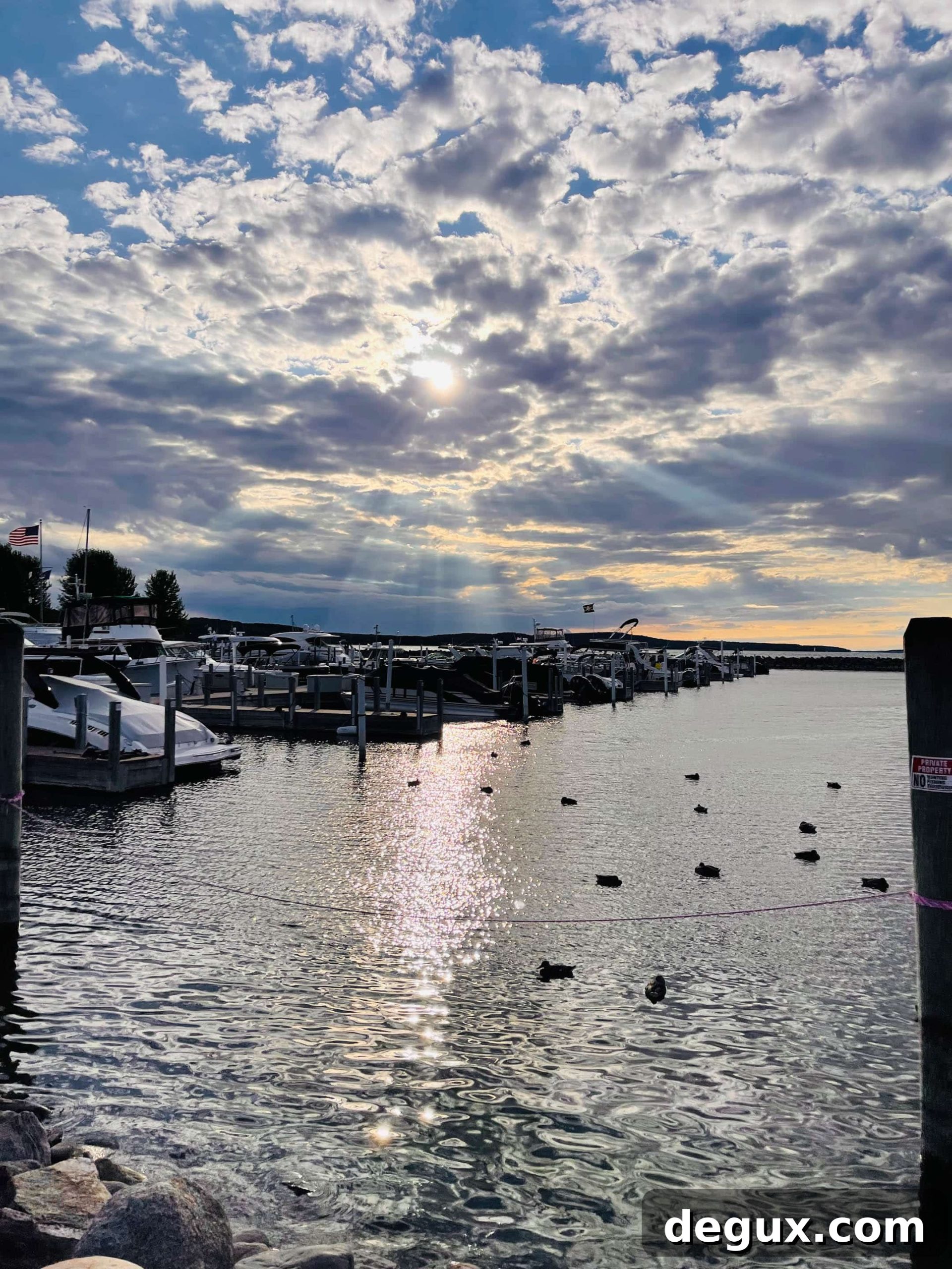 Summer Fridays Playlist: Volume 10 — New Chill Tracks for Summer 3 img 88651 2 scaled