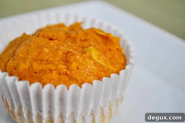 Baked pumpkin apple muffins