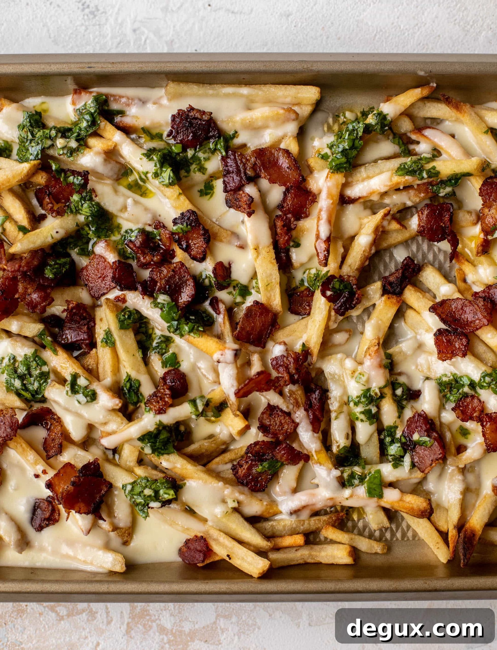 chimichurri cheese fries with chipotle bacon