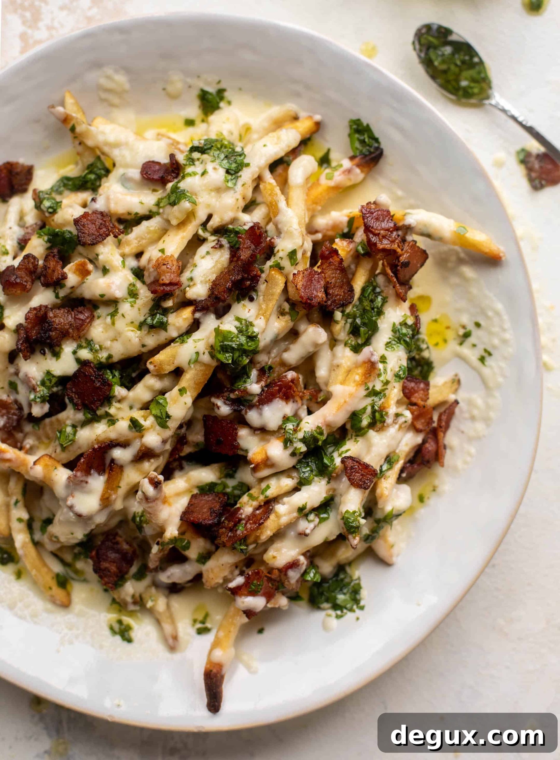 chimichurri cheese fries with chipotle bacon