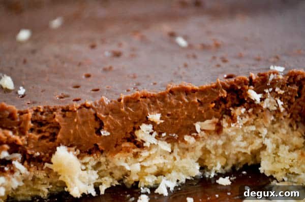 Finished chocolate coconut bars