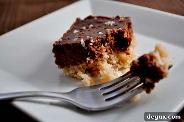 Sliced chocolate coconut bars