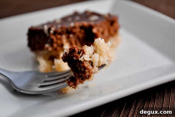 Chocolate coconut bars ready to serve