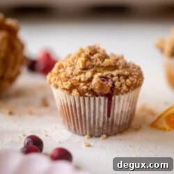 Cranberry orange muffins thumbnail