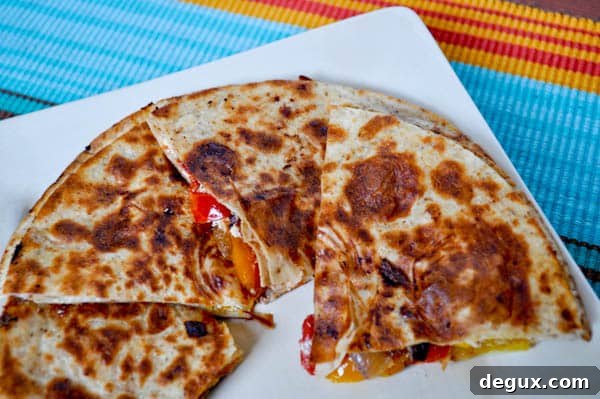 Quesa-2 Quesadilla close-up