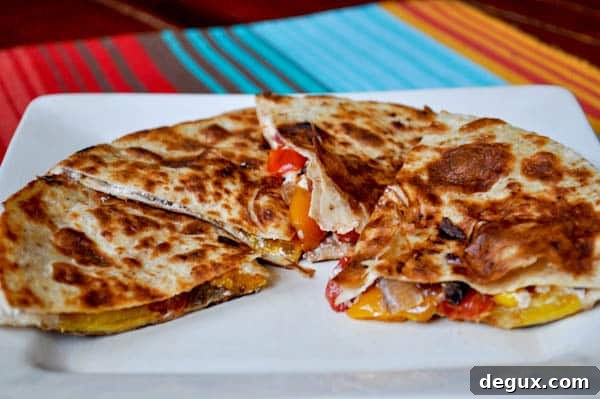 Quesa-3 Finished quesadilla