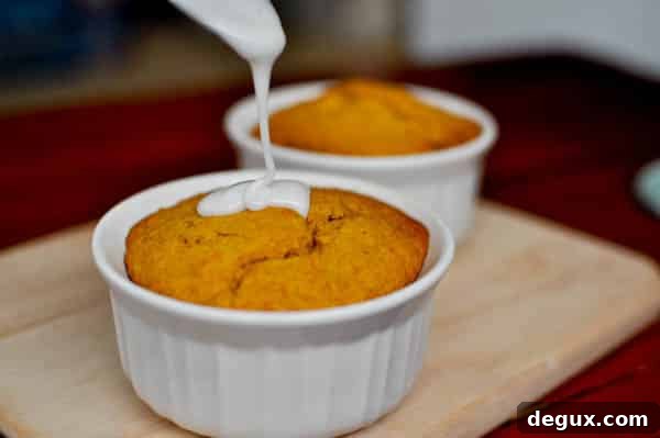 Pumpkin breakfast cakes