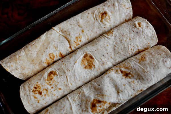 Enchiladas close-up
