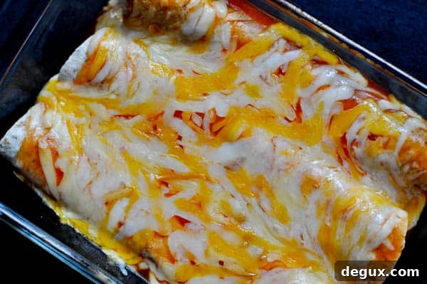 Baked enchiladas