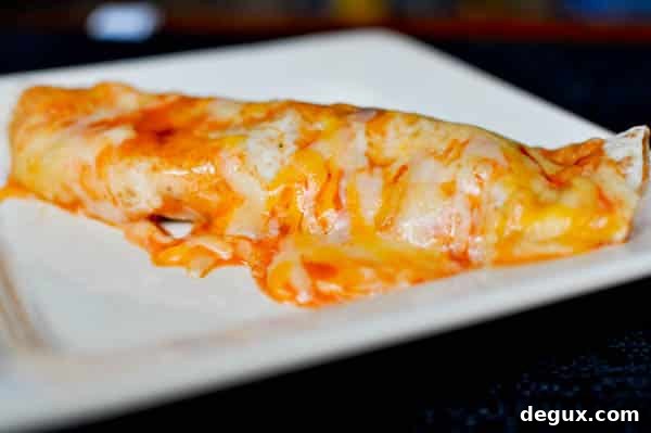 Enchilada filling