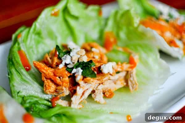 BuffLettuce-5 Buffalo lettuce cups plated