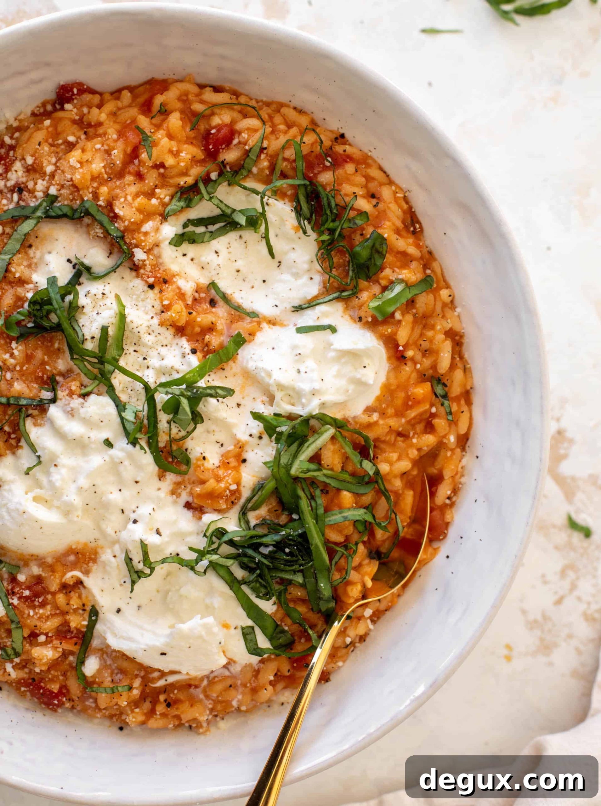 fire roasted tomato risotto with burrata