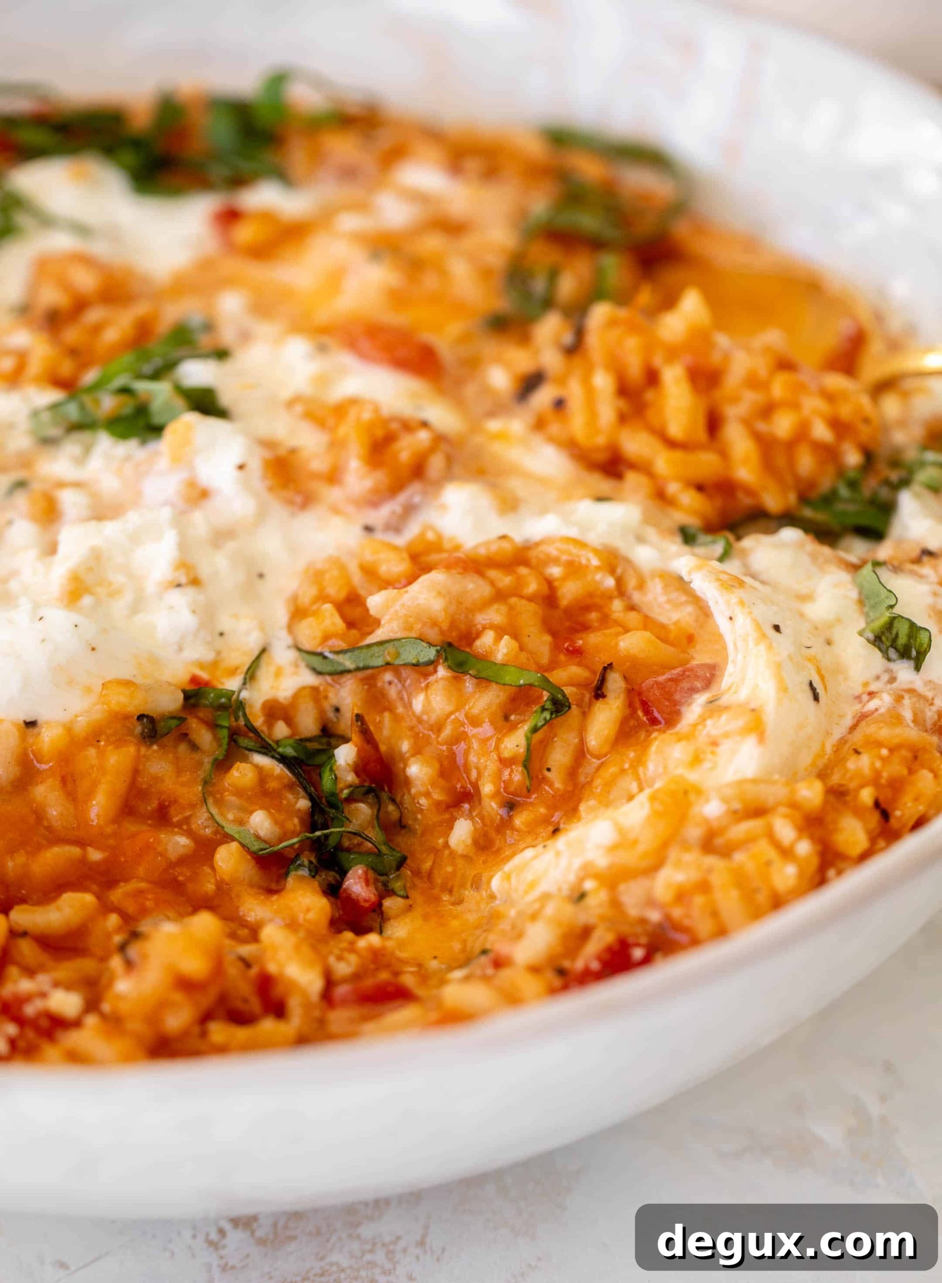 fire roasted tomato risotto with burrata