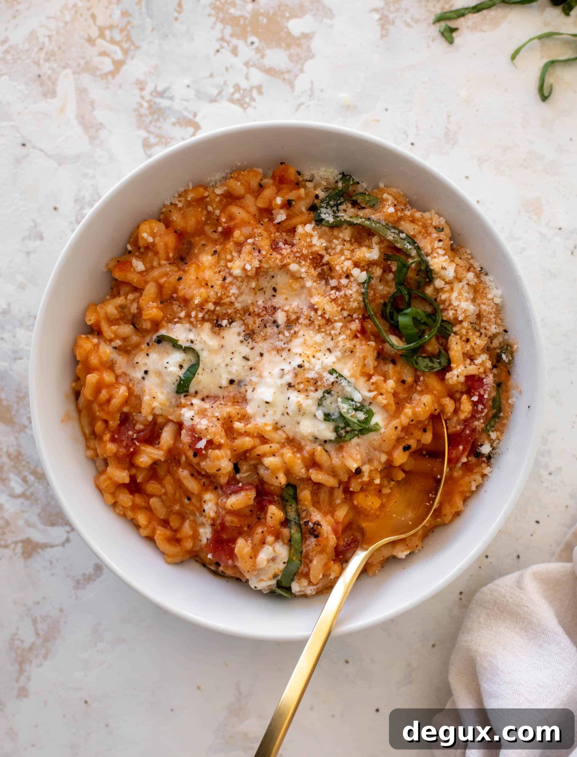 fire roasted tomato risotto with burrata