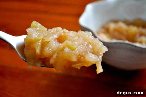Applesauce-3 Applesauce closeup
