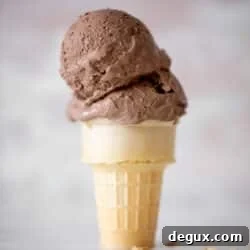 No-Churn Chocolate Ricotta Ice Cream Recipe 9 img 94444 8