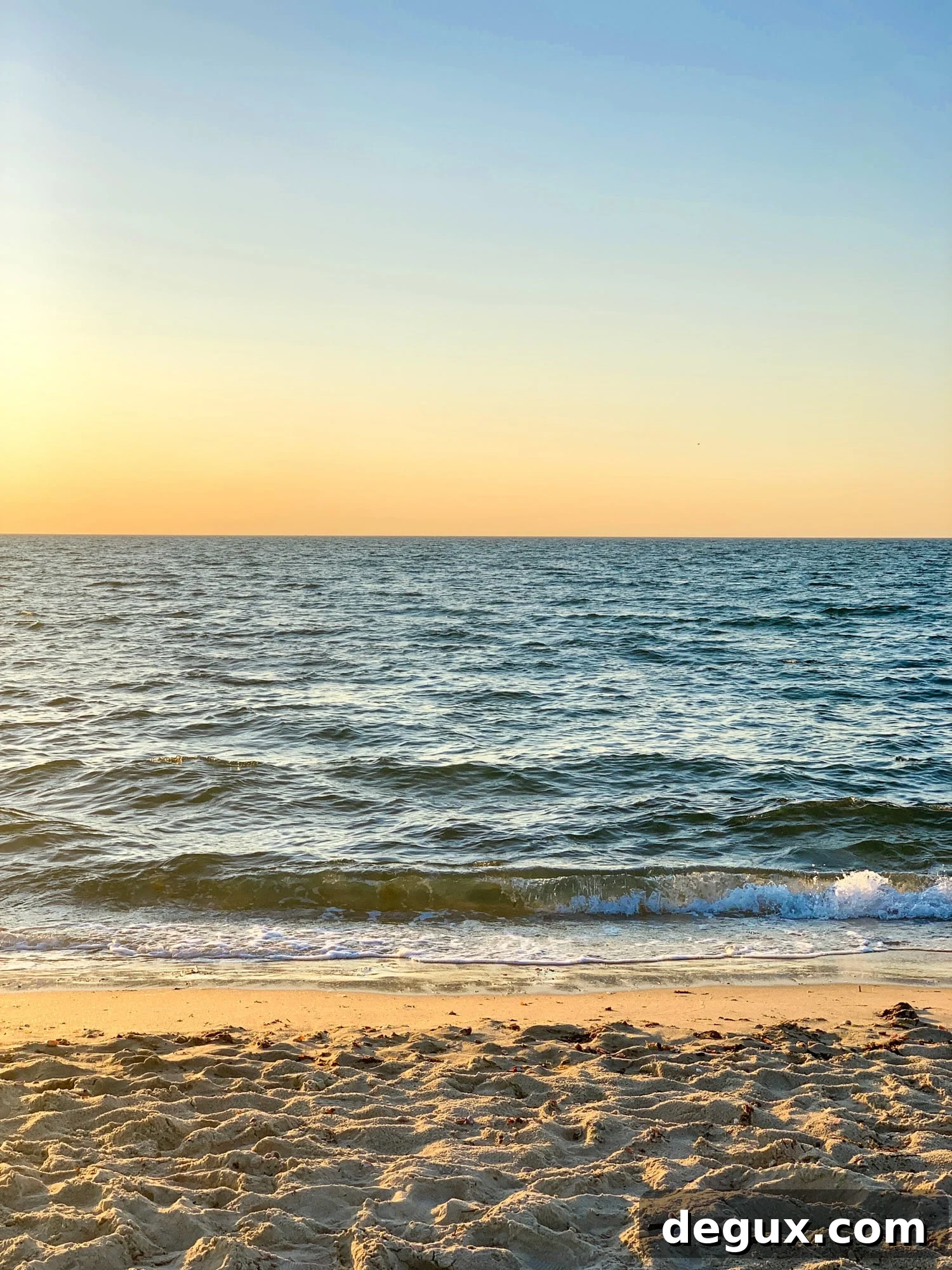 Summer Fridays Volume 9: Top Picks for Sun-Soaked Weekends 2 summer fridays