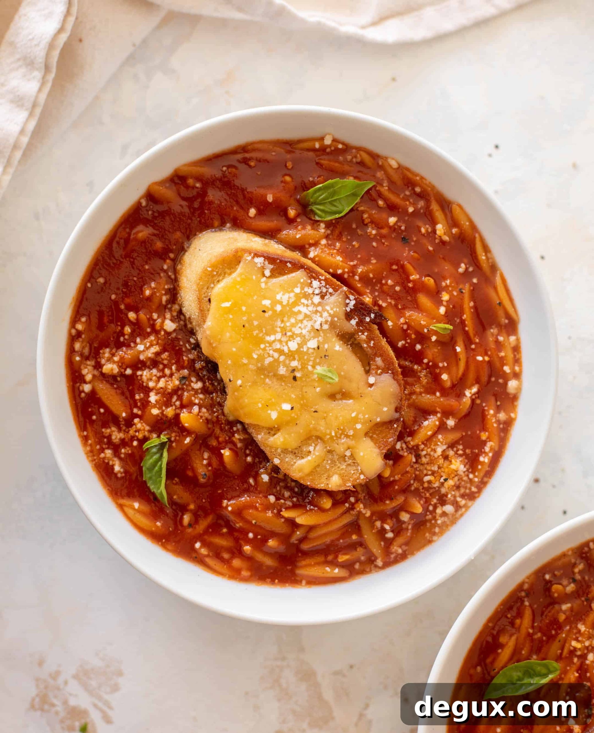 tomato orzo soup with crunchy cheddar toasts