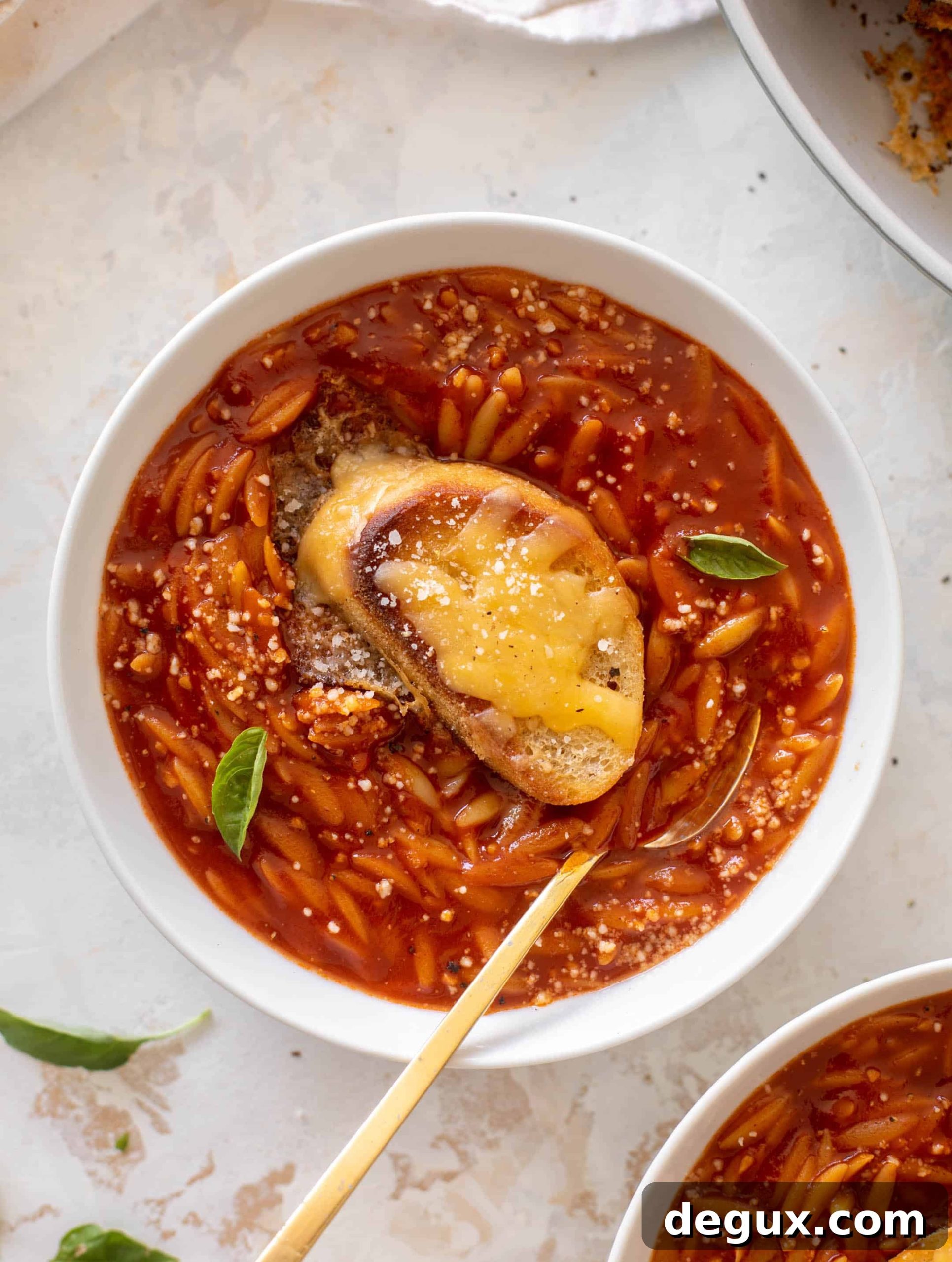 tomato orzo soup with crunchy cheddar toasts