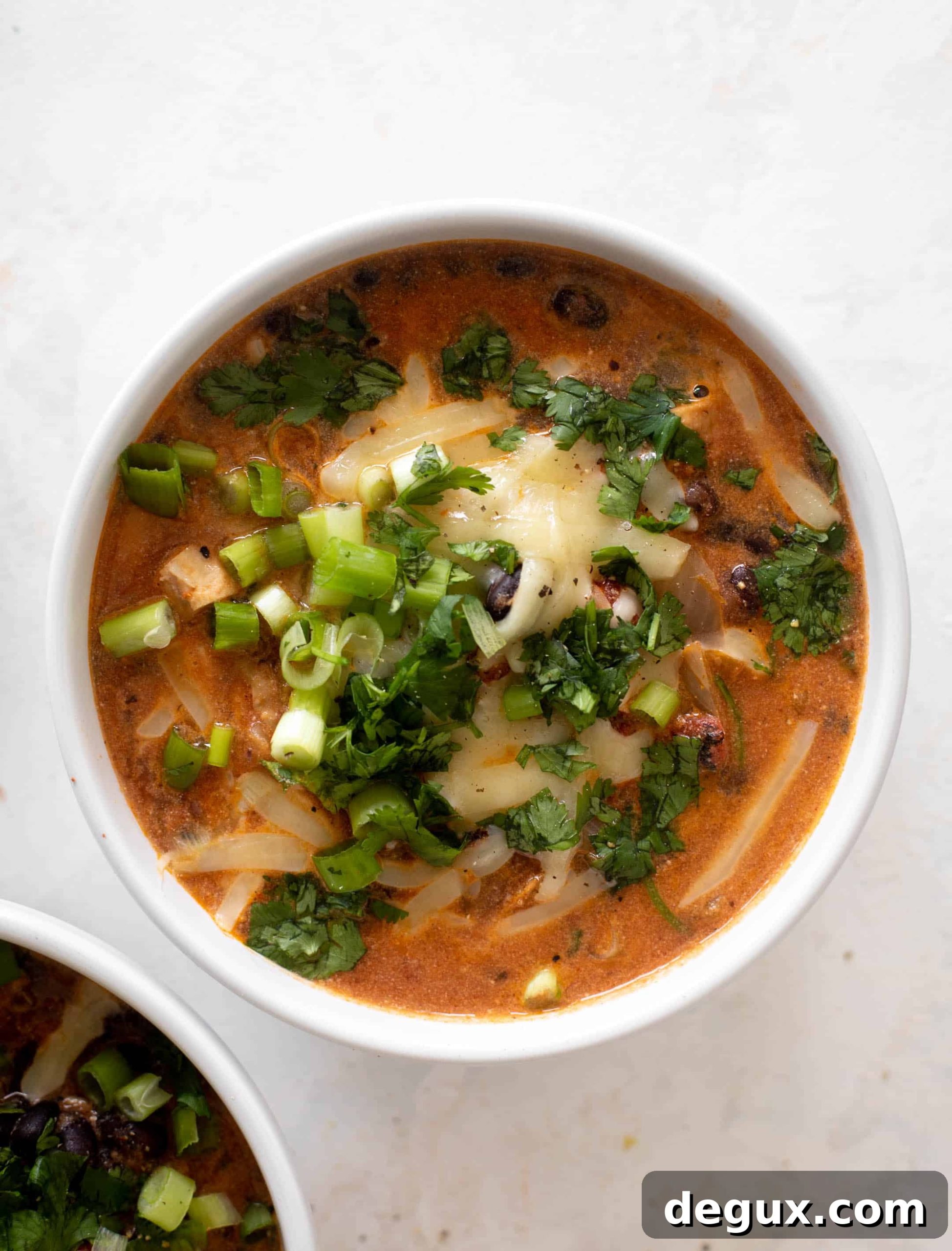 black bean chicken chili