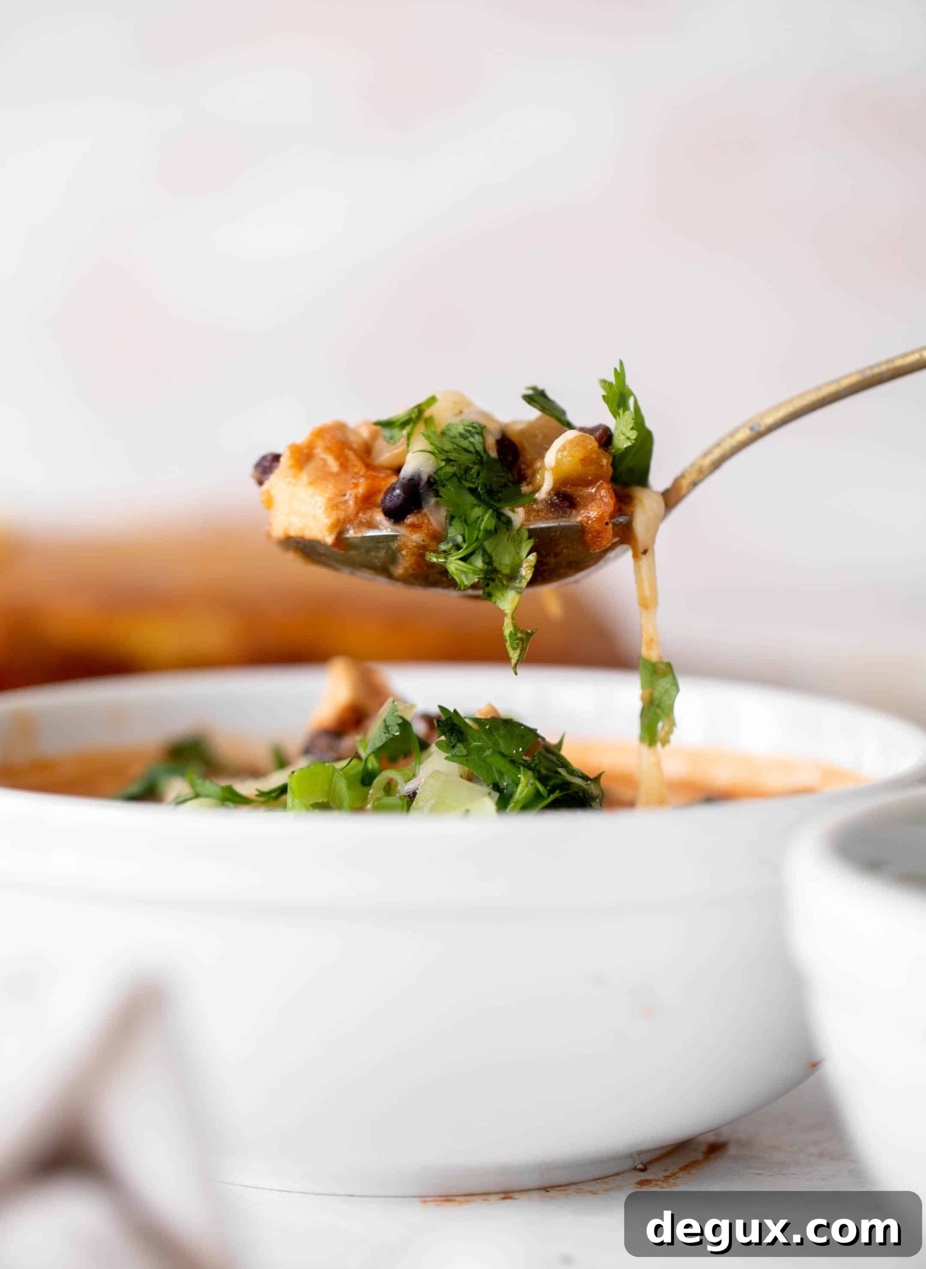 black bean chicken chili