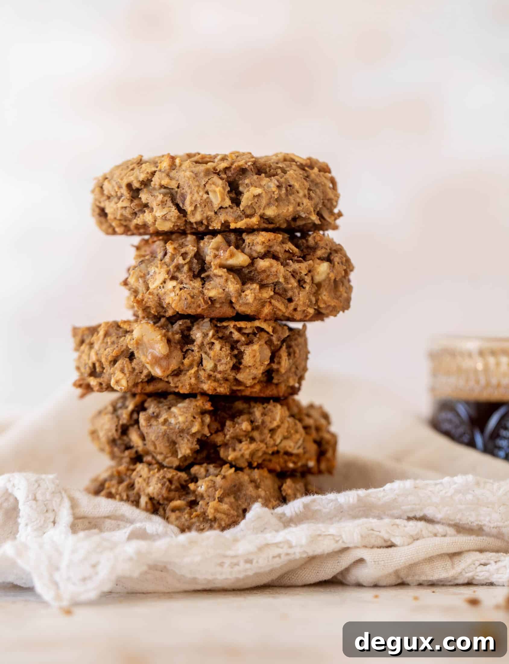 Apple Oatmeal Breakfast Cookies Recipe with Cinnamon & Raisins 3 apple butter oatmeal breakfast cookies