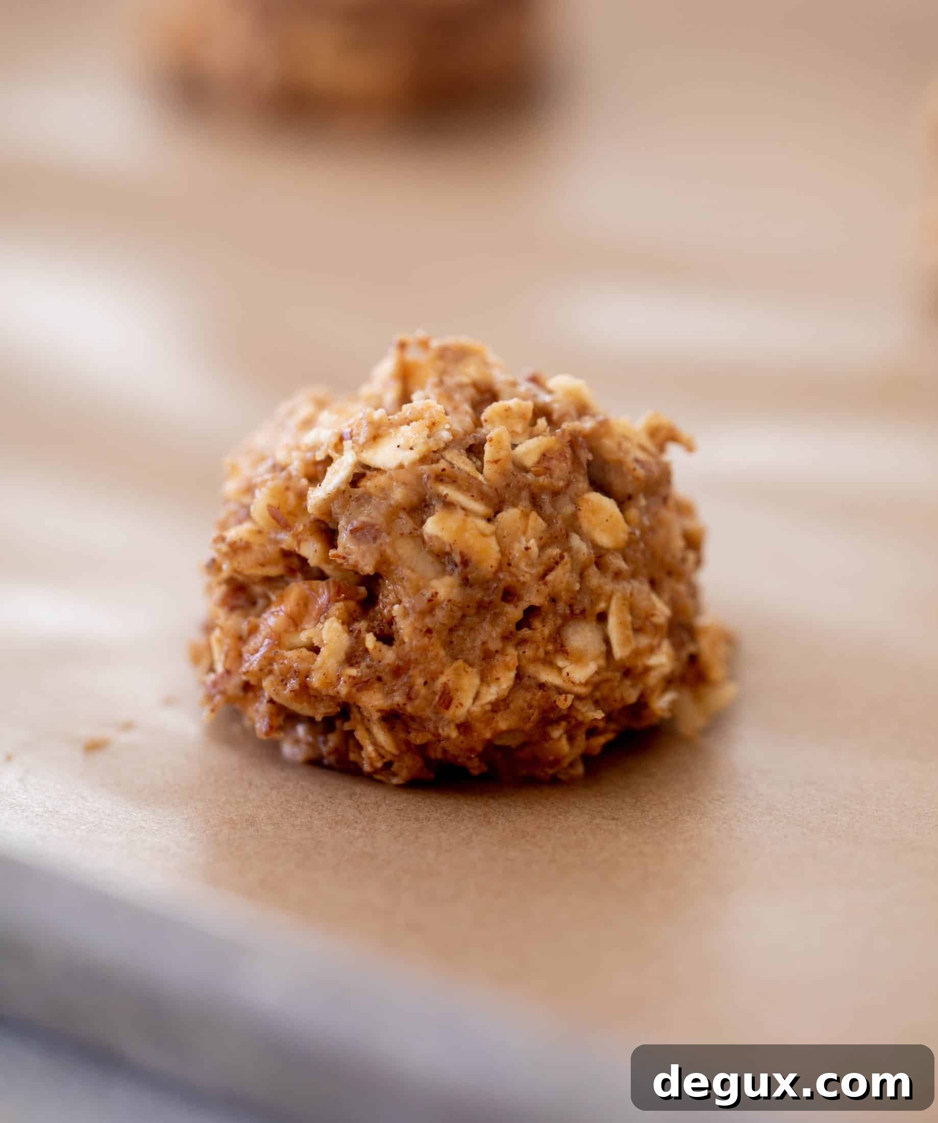 Apple Oatmeal Breakfast Cookies Recipe with Cinnamon & Raisins 7 apple butter oatmeal breakfast cookies