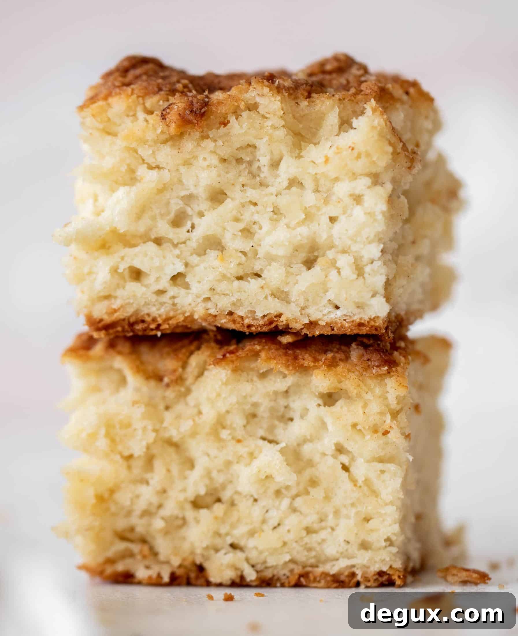 Cheddar Sourdough Slab Biscuits Recipe for Crispy Cheesy Squares 8 sourdough slab biscuits