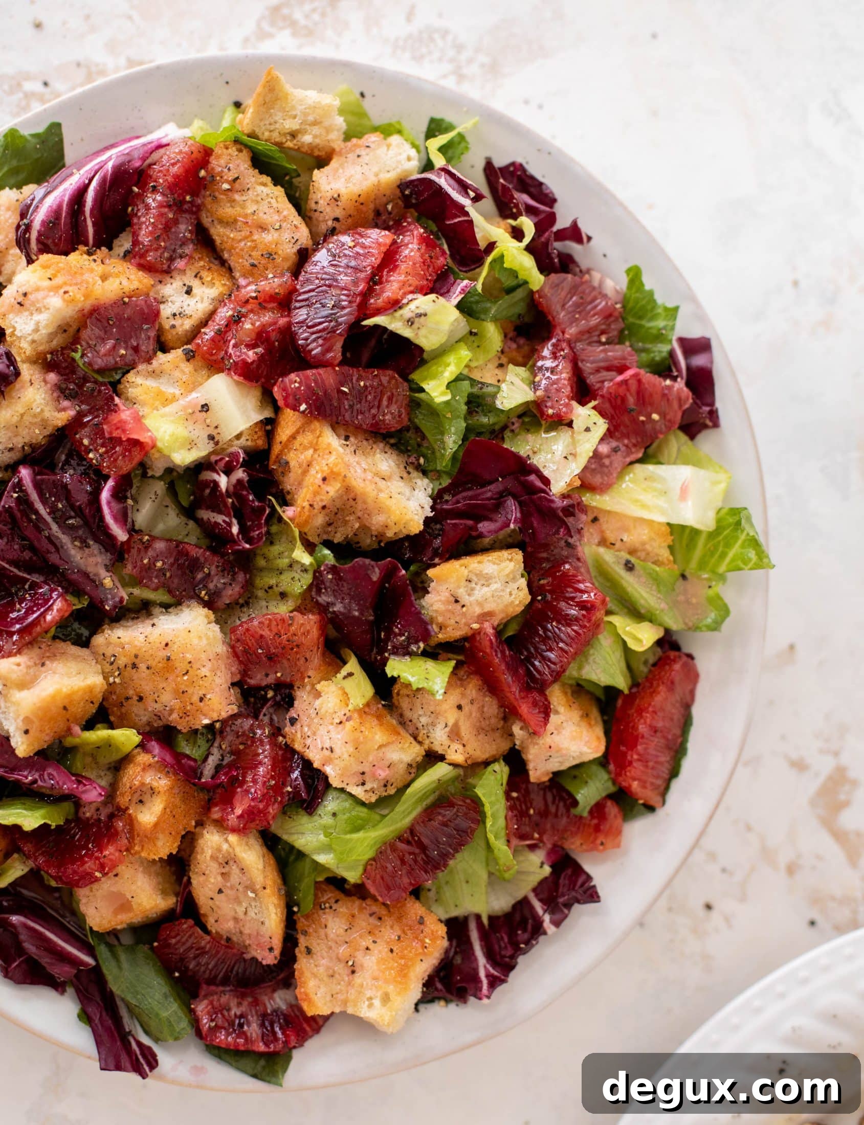 Halloumi and Blood Orange Panzanella Salad Recipe 7 blood orange panzanella