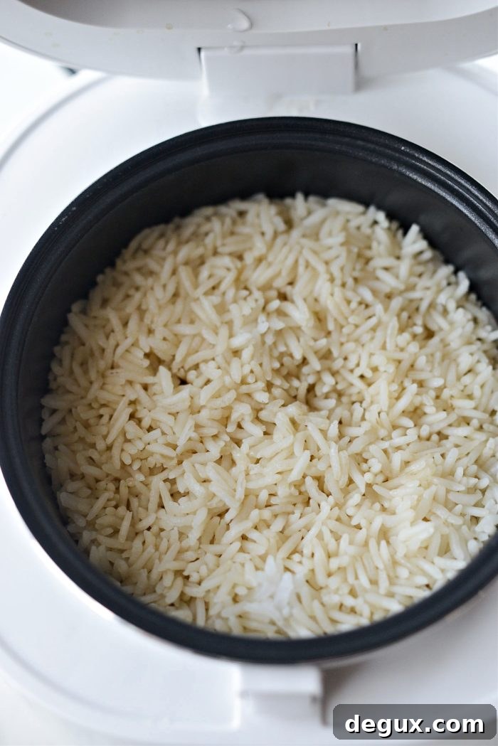 High-Protein Rice Bowls for Muscle Growth and Meal Prep 10 cooked protein rice