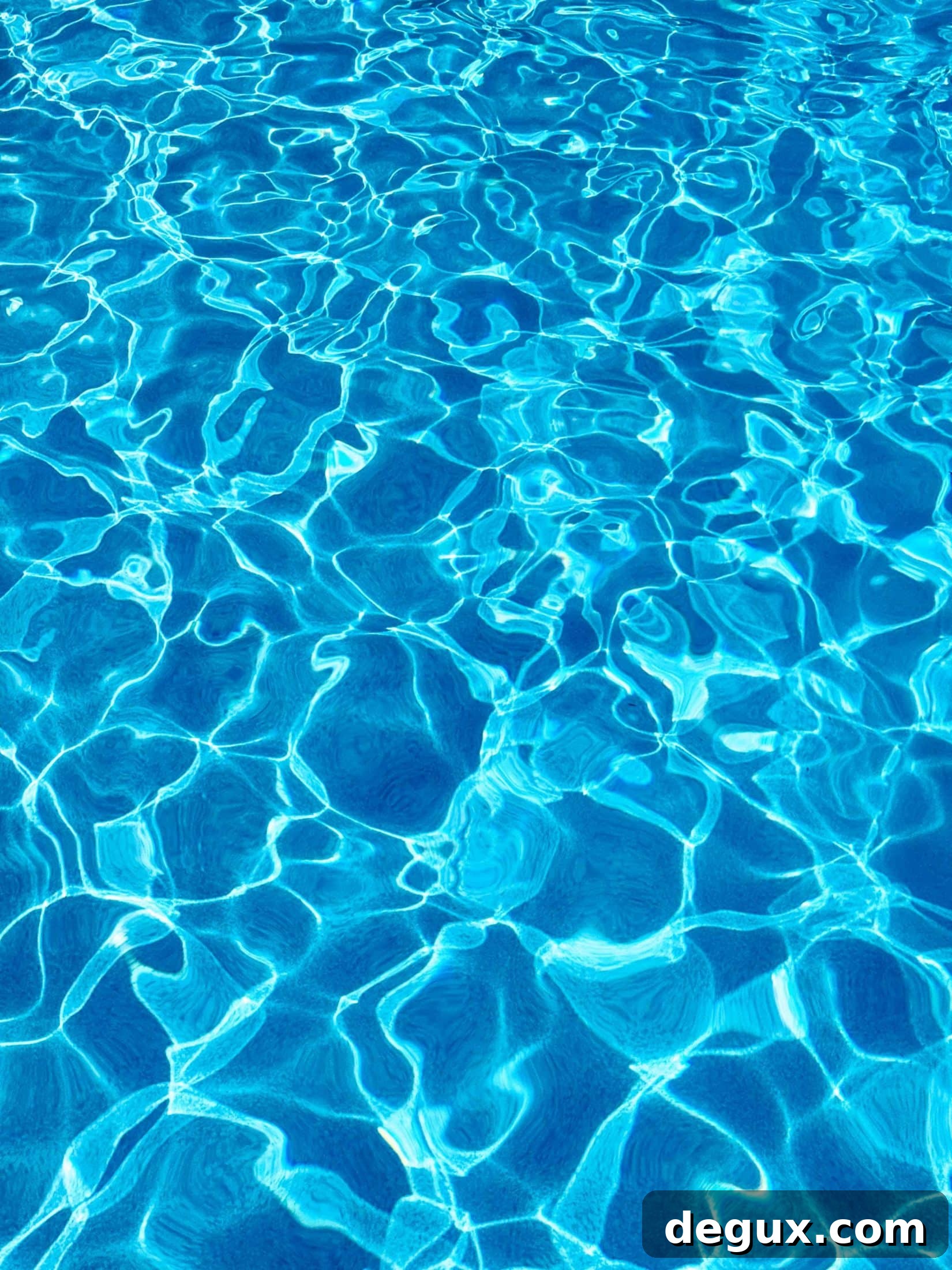 summer fridays
